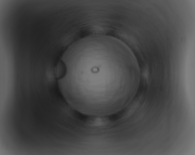 X0000100930663200807081214