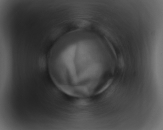 X0000100930664200807081214