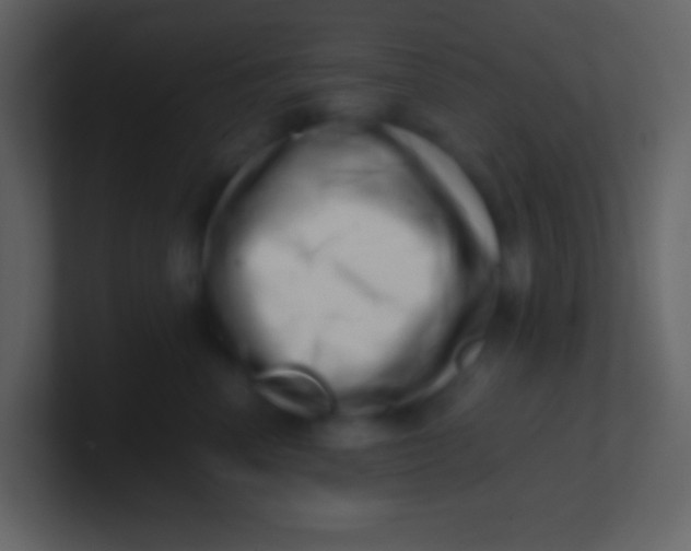 X0000100930666200807081214