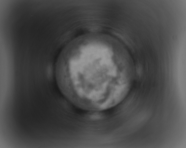 X0000100930667200807081214