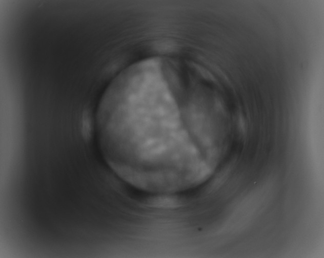 X0000100930668200807081214