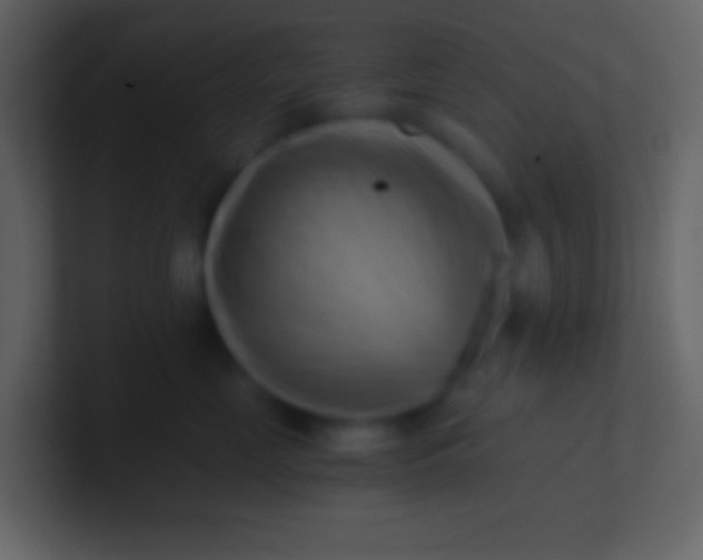 X0000100930669200807081214