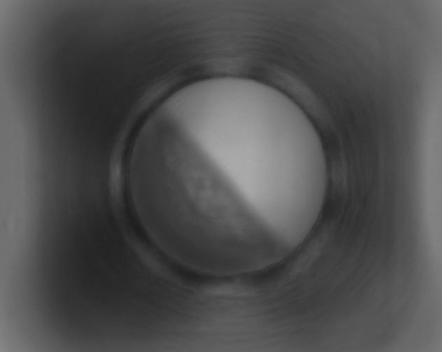 X0000100930674200807081213