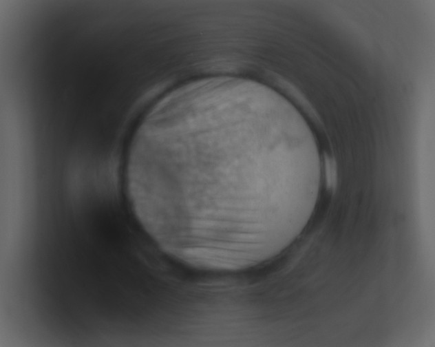 X0000100930675200807081213