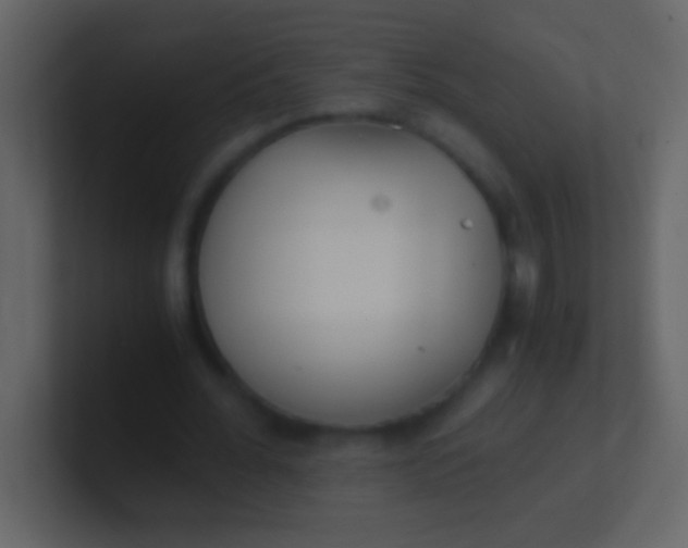 X0000100930676200807081213