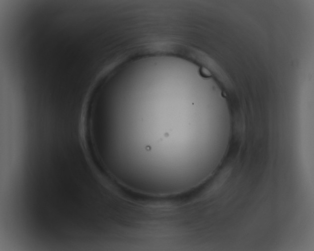 X0000100930677200807081213