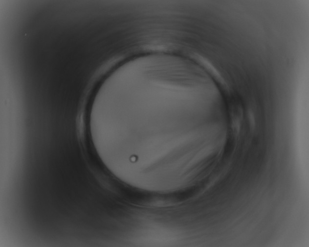 X0000100930678200807081213