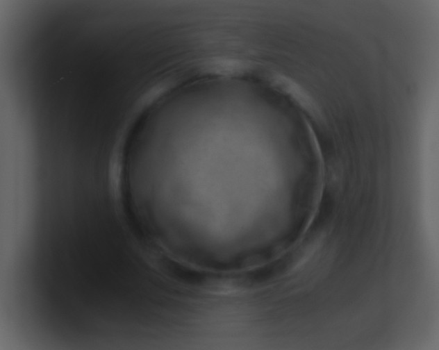 X0000100930679200807081213