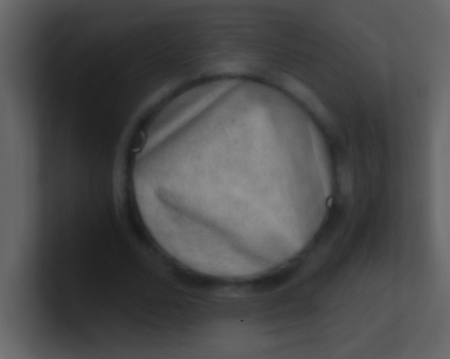 X0000100930680200807081213