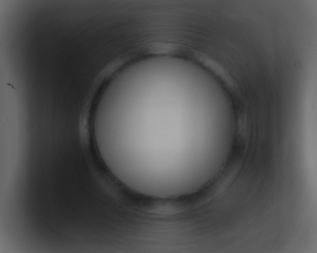 X0000100930682200807081213