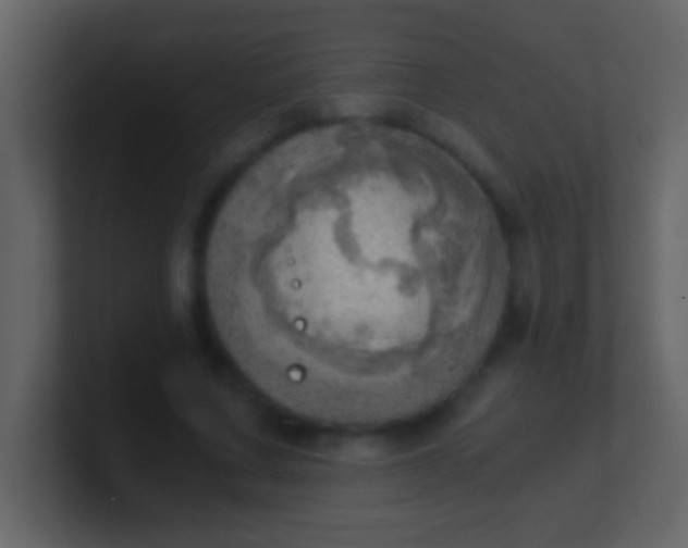 X0000100930683200807081213