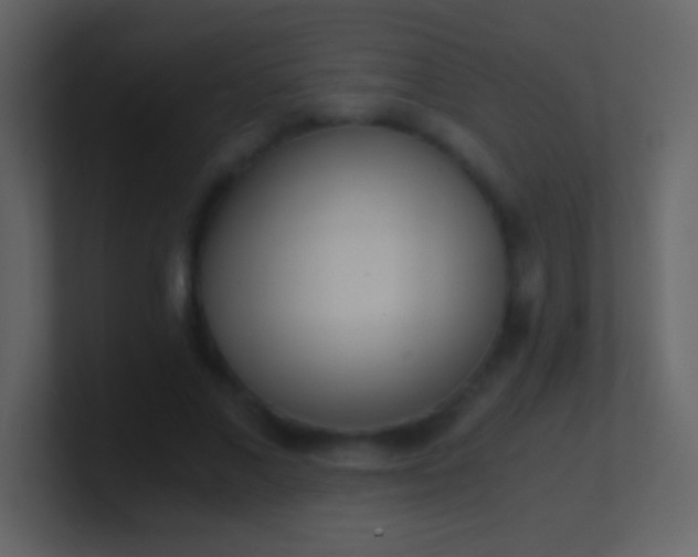 X0000100930685200807081213