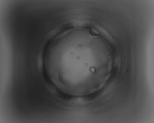 X0000100930687200807081213