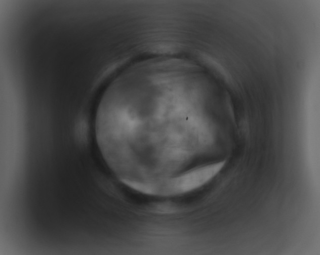 X0000100930688200807081213