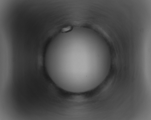 X0000100930689200807081213