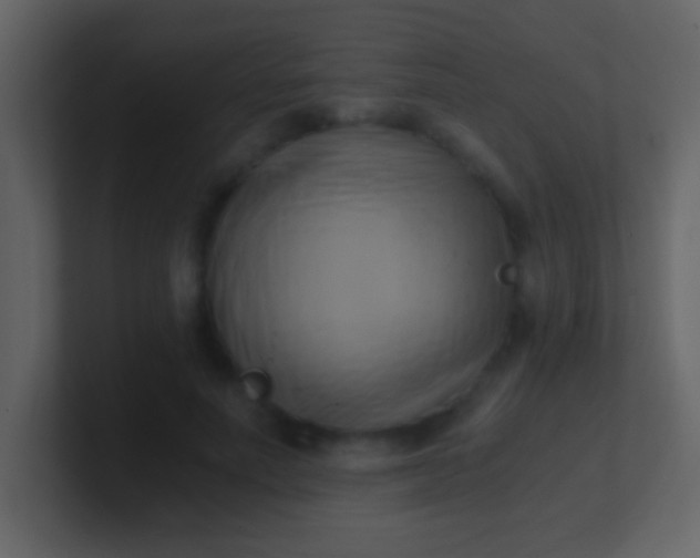 X0000100930691200807081213