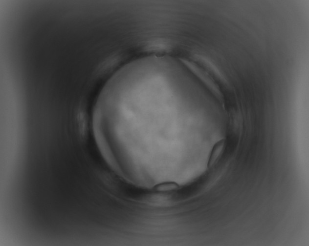 X0000100930692200807081213