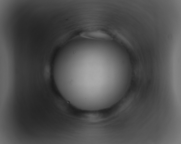 X0000100930693200807081213