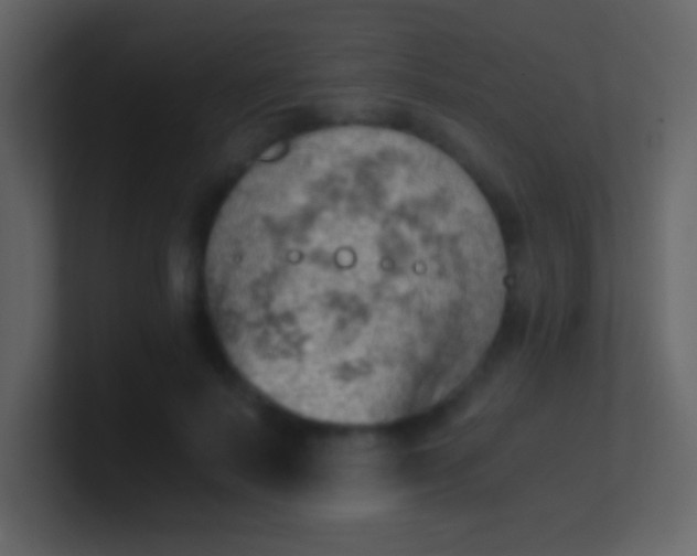 X0000100930695200807081213