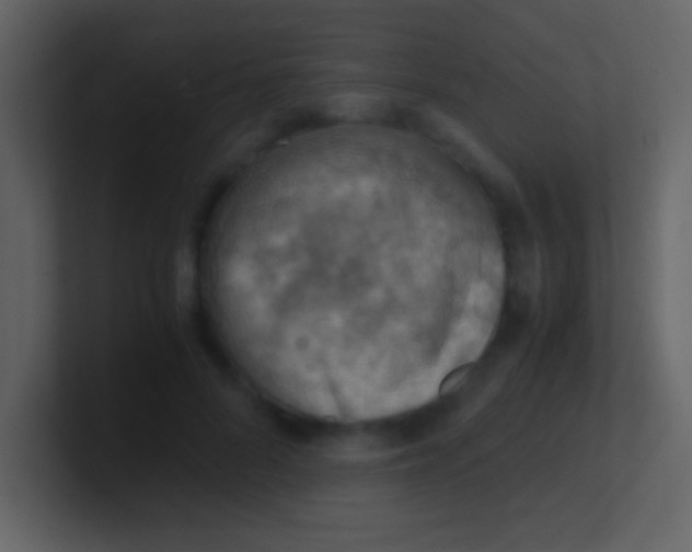 X0000100930696200807081213