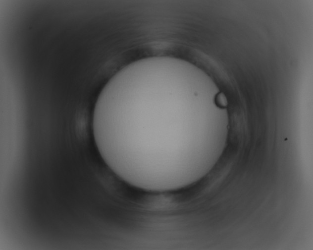 X0000100930698200807081213