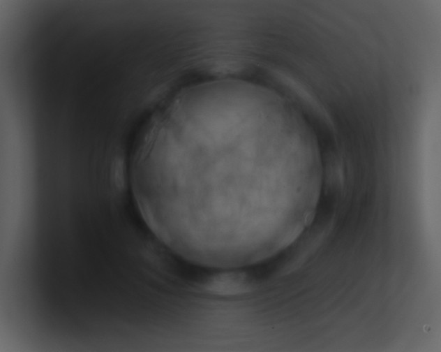 X0000100930700200807081213