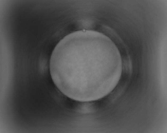 X0000100930701200807081213