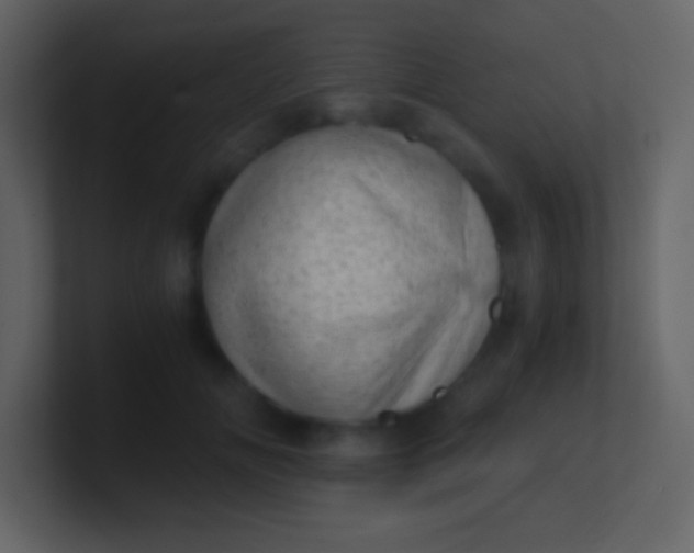 X0000100930702200807081213