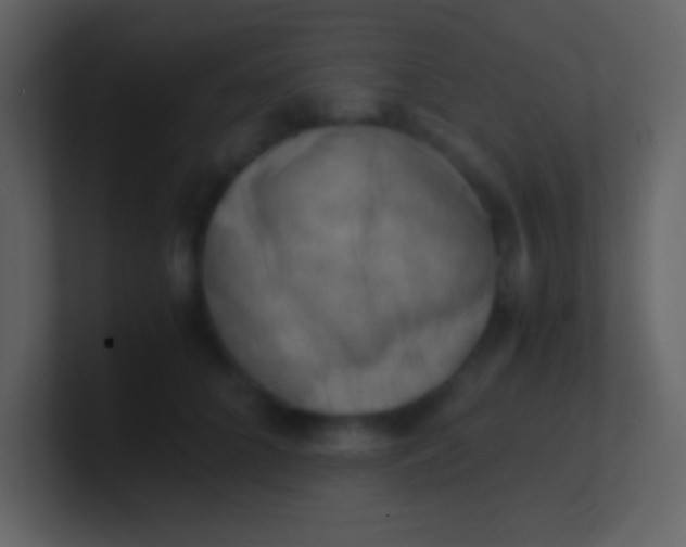 X0000100930704200807081213