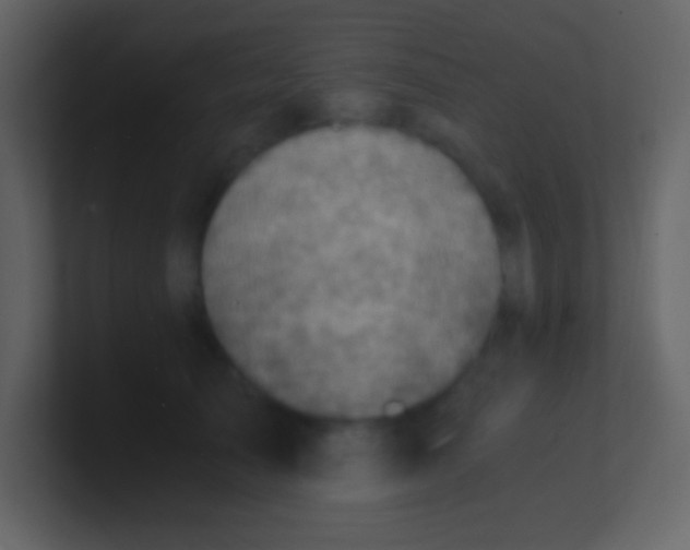 X0000100930705200807081213