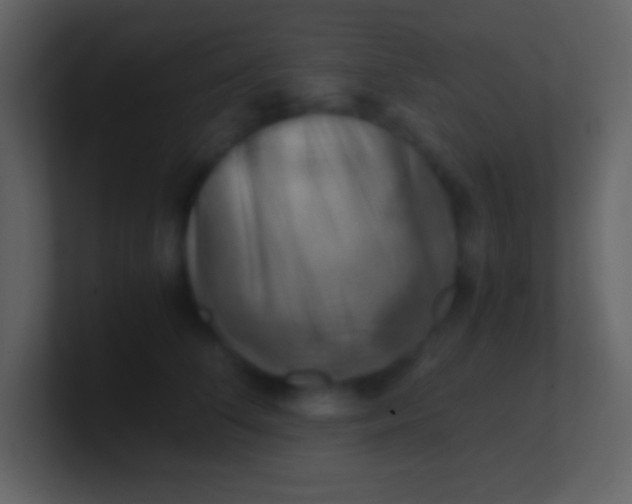 X0000100930708200807081213