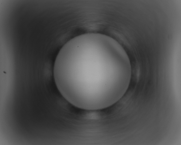 X0000100930710200807081213