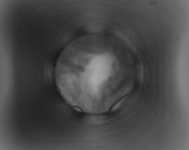 X0000100930712200807081213