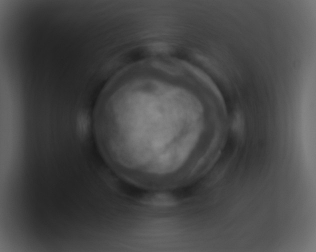 X0000100930715200807081213