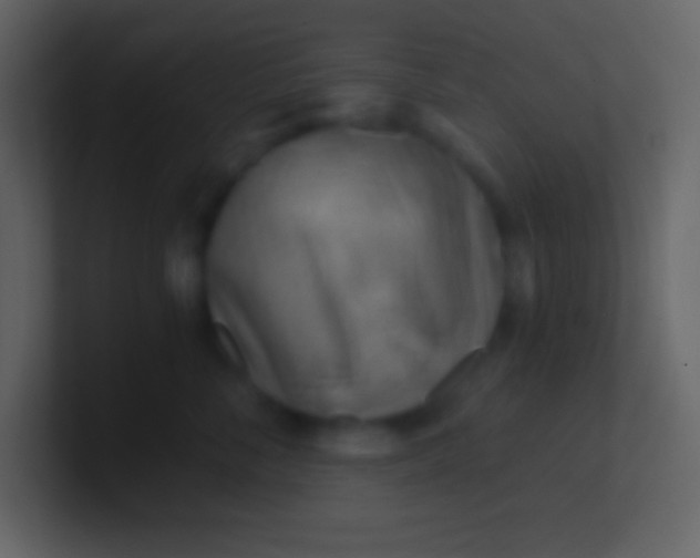 X0000100930716200807081213