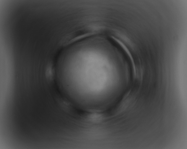 X0000100930718200807081213