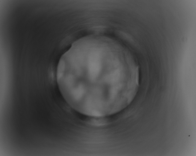 X0000100930720200807081213