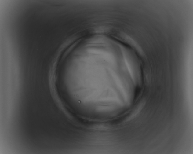 X0000100930721200807081212