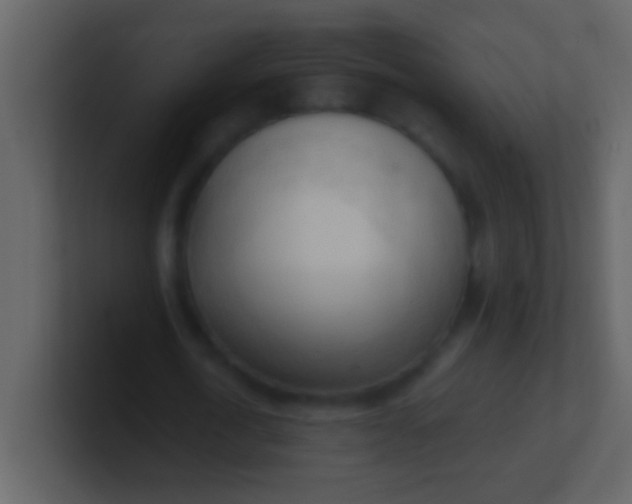 X0000100930722200807081212