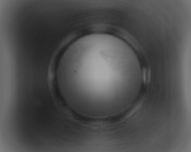 X0000100930723200807081212