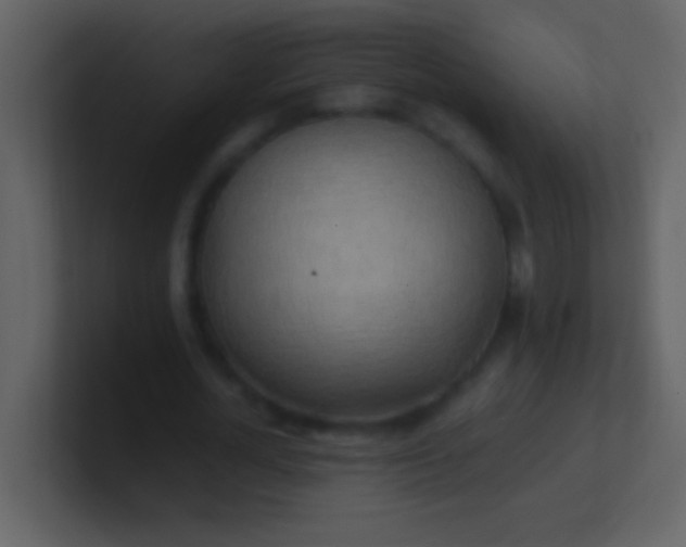 X0000100930724200807081212