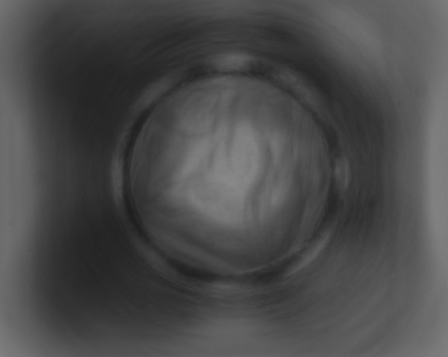 X0000100930725200807081212