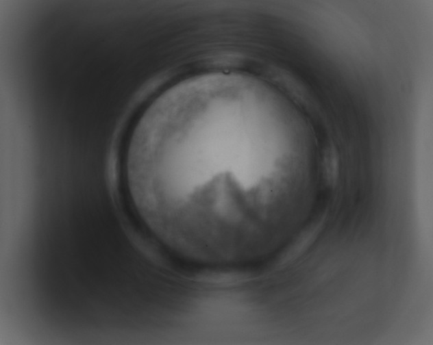 X0000100930726200807081212