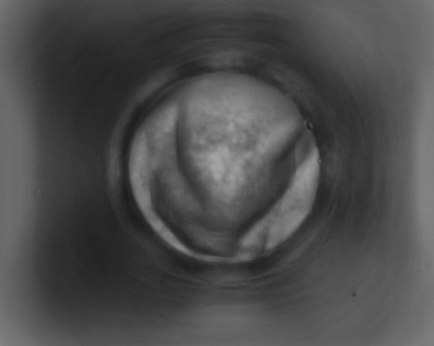 X0000100930727200807081212