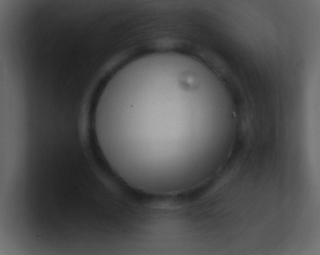 X0000100930728200807081212