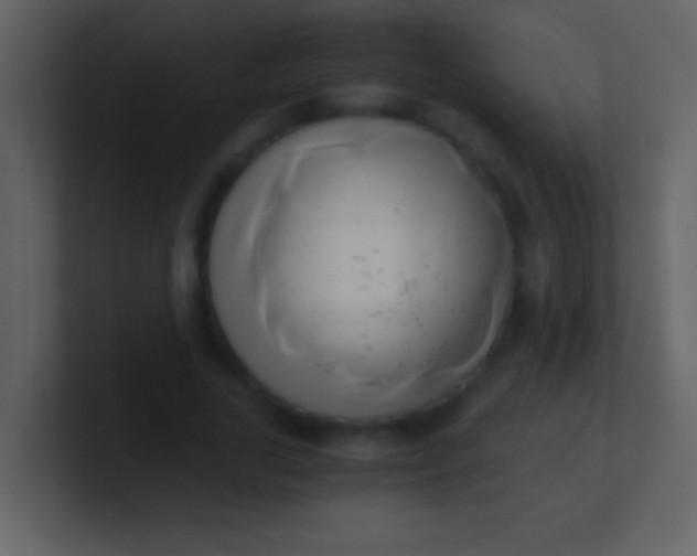 X0000100930731200807081212