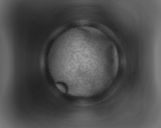 X0000100930732200807081212