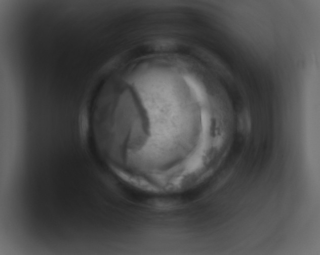 X0000100930733200807081212