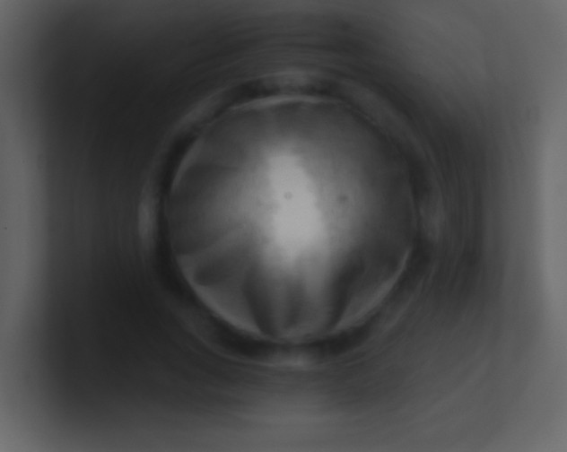 X0000100930735200807081212