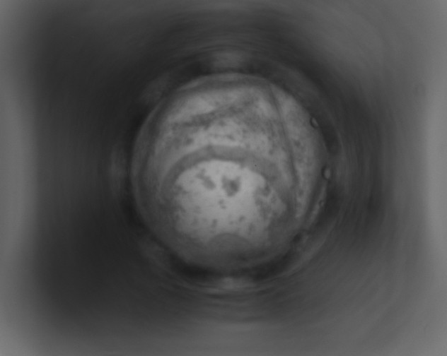 X0000100930737200807081212